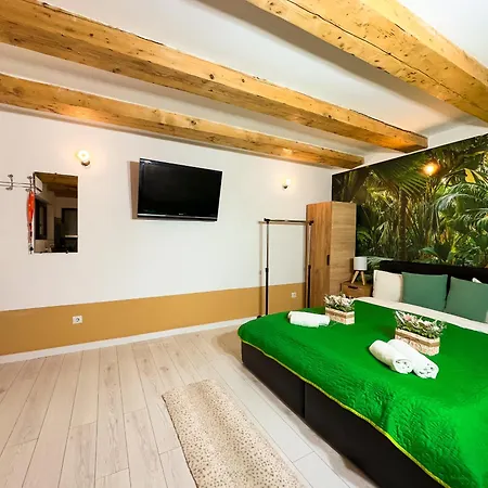 The Jungle - Modern & Free Parking Craiova