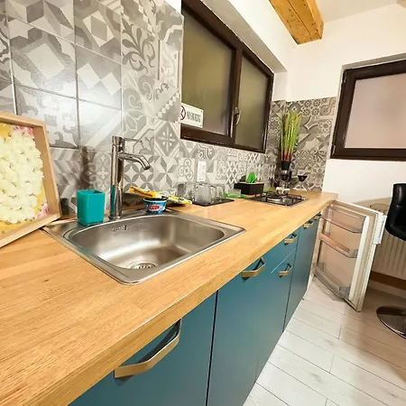 The Jungle - Modern & Free Parking Apartment Craiova